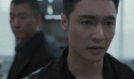 圈内人爆料猩猩,猩猩生成背后的神秘力量